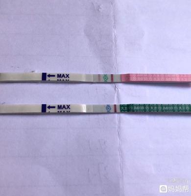 梦见自己怀孕八个月了