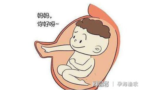 孕五个月胎儿会缺氧吗