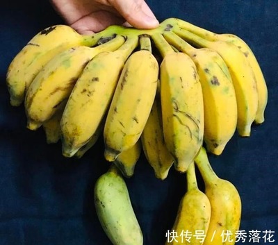 超市卖烂水果怎么赔偿