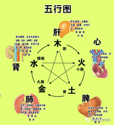 饮食行业五行属什么