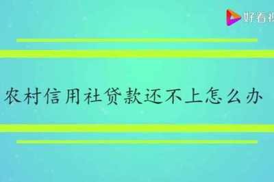 信用社贷款无力偿还