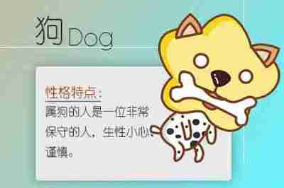 虎和兔配婚姻好不好