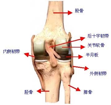 膝盖关节骨刺怎么治疗