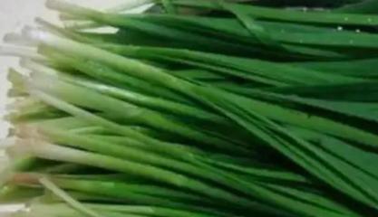 家庭厨房纸栽培蔬菜