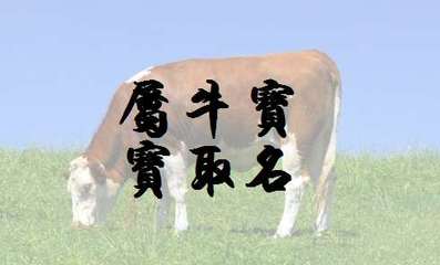 属牛男孩起名