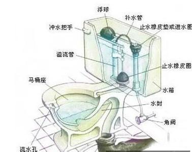 马桶总堵是怎么回事