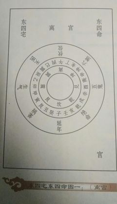 什么叫东四命