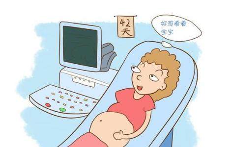 怀孕多长时间能发现