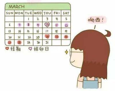 是不是每个月都会排卵