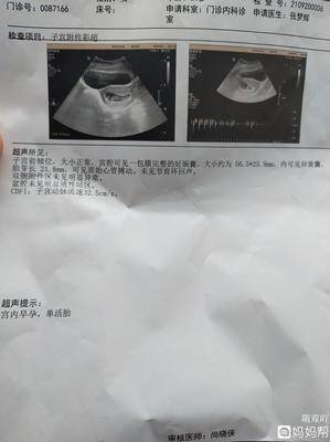 怀孕2个月发烧了怎么办