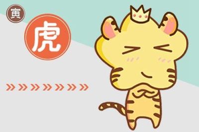 小人代表什么生肖