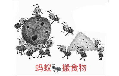 厨房蚂蚁多是什么原因