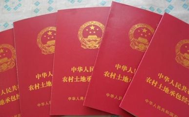 林地承包期限法律规定