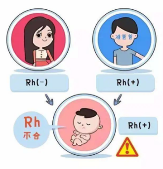 如何知道胎儿血型