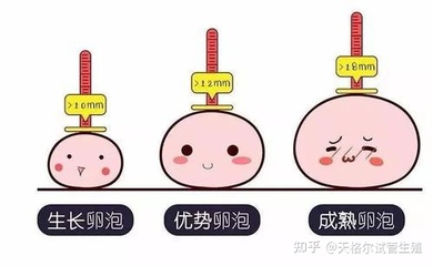 怎样判断排卵期