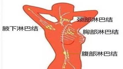 淋巴部位长痘痘怎么治