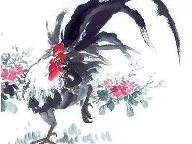 生肖鸡男