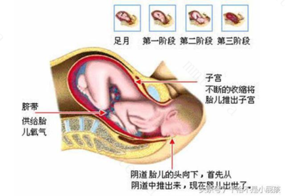 怀孕几个月生小孩