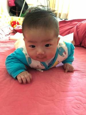 三个月宝宝抬头标准图