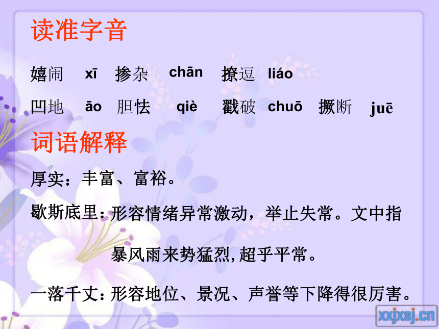 歇斯底里解释词语