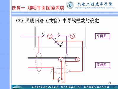 导线根数如何数