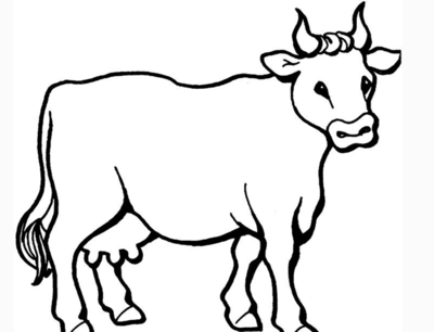 牛站着的简笔画 可爱图片