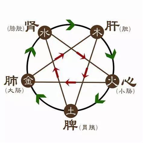 五行调理