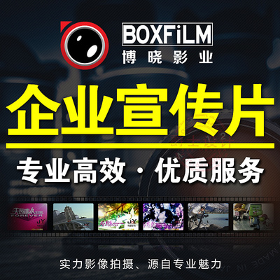 碰碰狐儿歌之恐龙系列