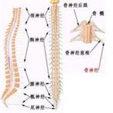 脊髓病怎么治疗