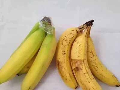 香蕉堵住马桶多久腐烂