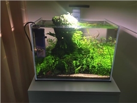 厨房北方可以放水槽吗