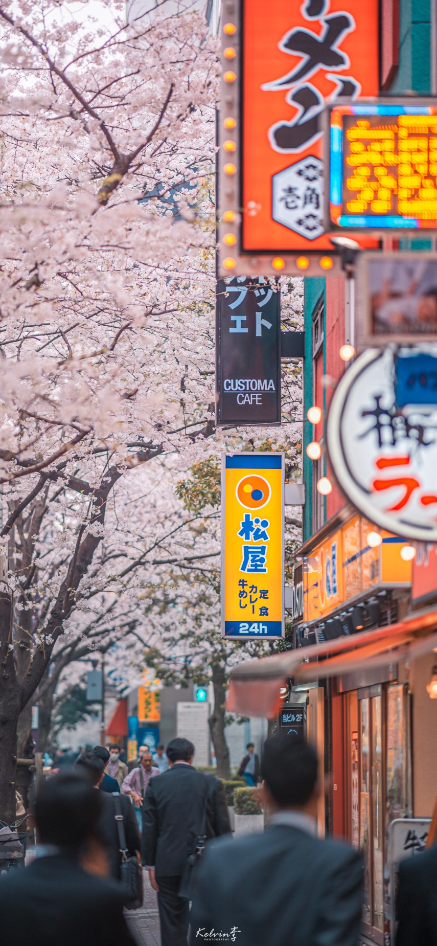 日本 壁纸