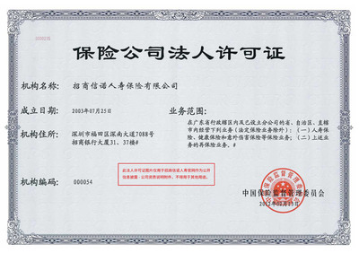 公司法人资格