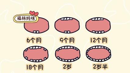 新生儿出牙顺序