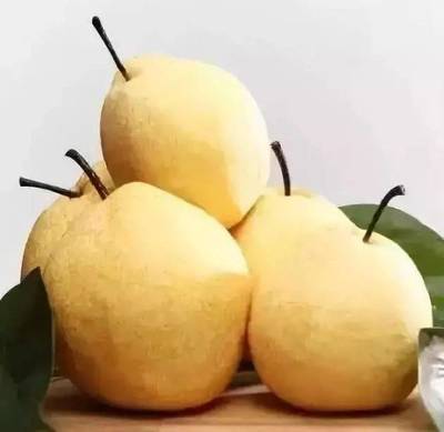 咳嗽 梨