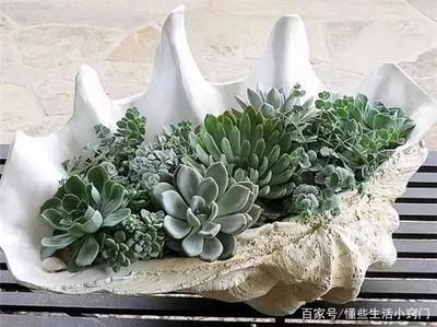 花盆怎么装饰好看
