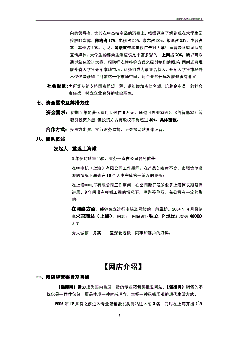 箱包品牌策划书图片模板