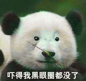 灭神里的欢乐竞猜怎么玩
