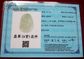 安康鉴定在哪个地方