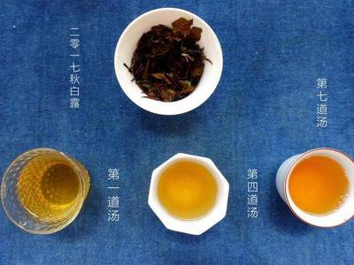 儿童能喝白茶吗