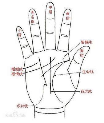 手指看命运指长短