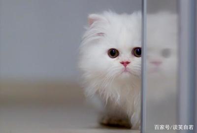 梦见自己笑得很开心