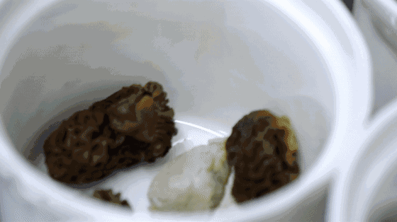 羊肚菌菇怎样做的好吃视频