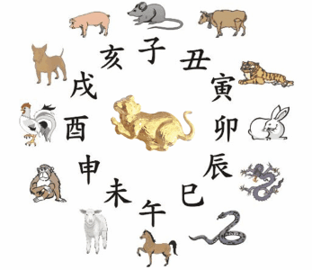你的属相是什么