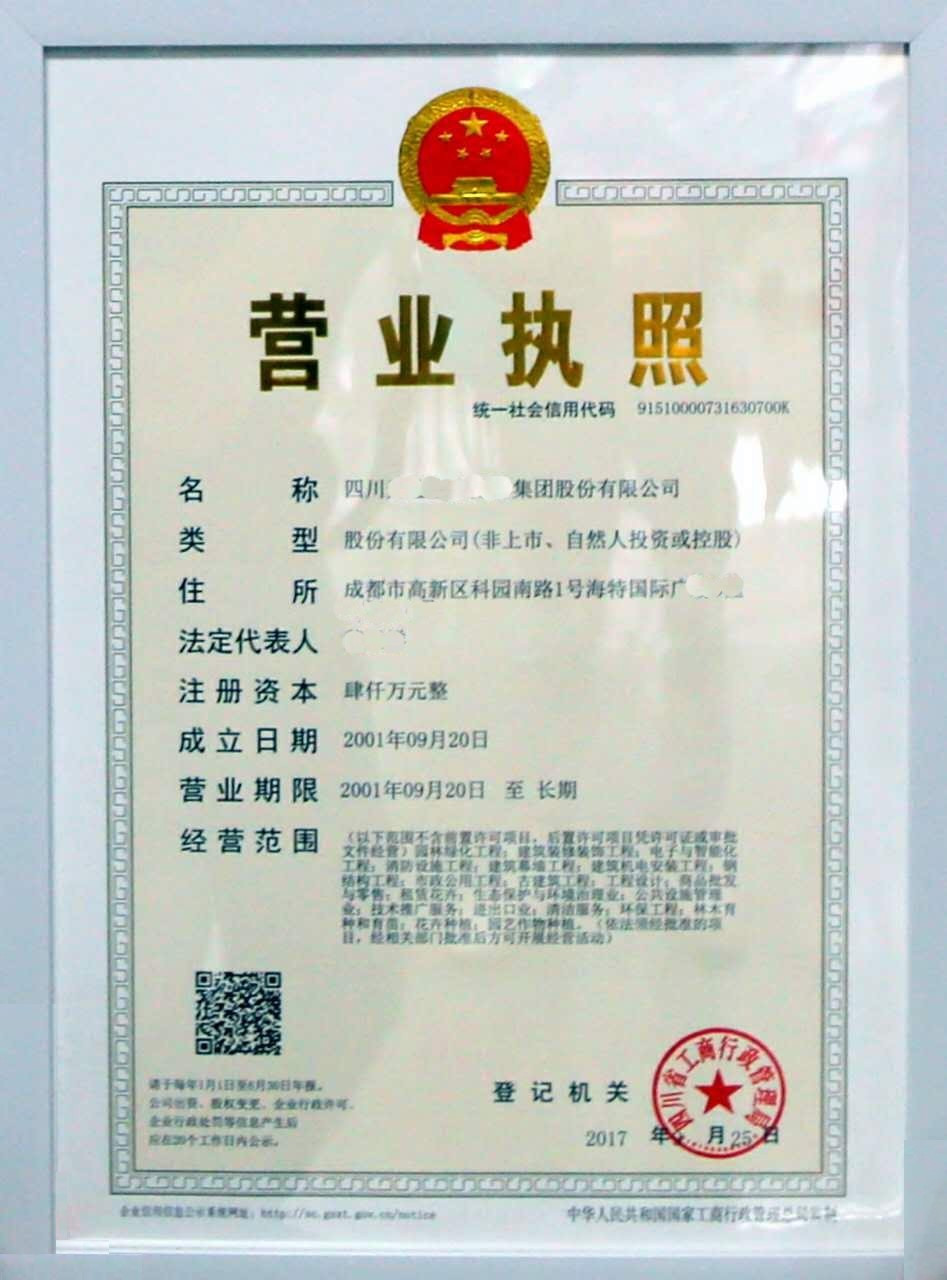 分公司营业执照样本