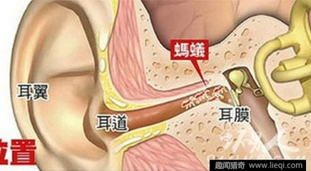 嗓子右边疼是怎么回事