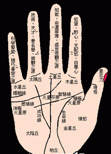 婚姻线有痣