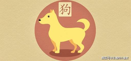 属狗的财运方向