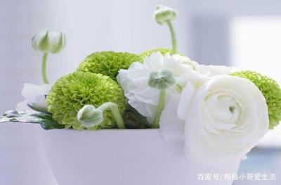 孕妇梦见鲜花
