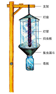 生物灯有什么功效